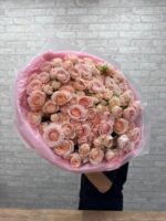 31 кустовая Роза Пич Деменшн ❤️