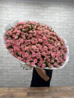101 кустовая Роза Грация 😍
