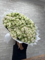Белоснежная мечта 😍😍😍 — изображение 3