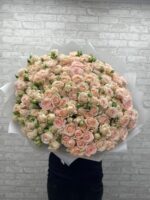 Кустовые розы Пич Деменшн 🥰 — изображение 7
